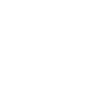 chery-logo-web-300x300